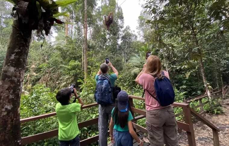 8-Day Borneo Family Cycling Holiday